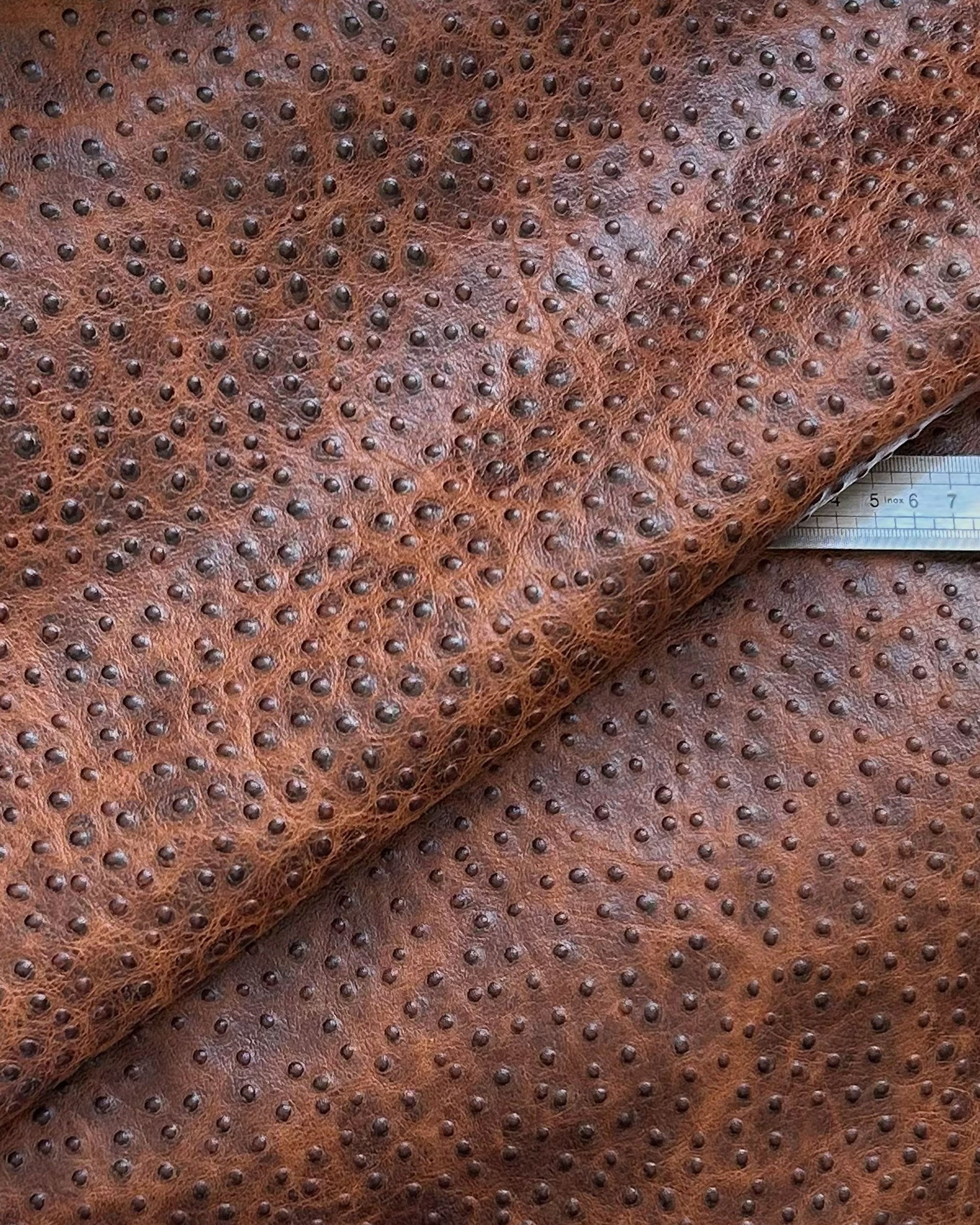 "Audrey" handbag with handle embossed on ostrich leather. Two colors